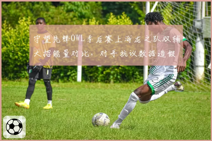 守望先锋OWL季后赛上海龙之队双辅大招能量对比，对手抗议数据造假
