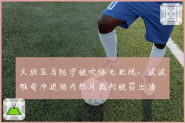 文班亚马防守被吹体毛犯规，波波维奇冲进场内怒斥裁判被罚出场