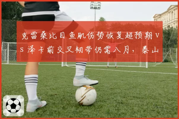 克雷桑比目鱼肌伤势恢复超预期 vs 泽卡前交叉韧带仍需八月,泰山锋线伤兵营两极分化