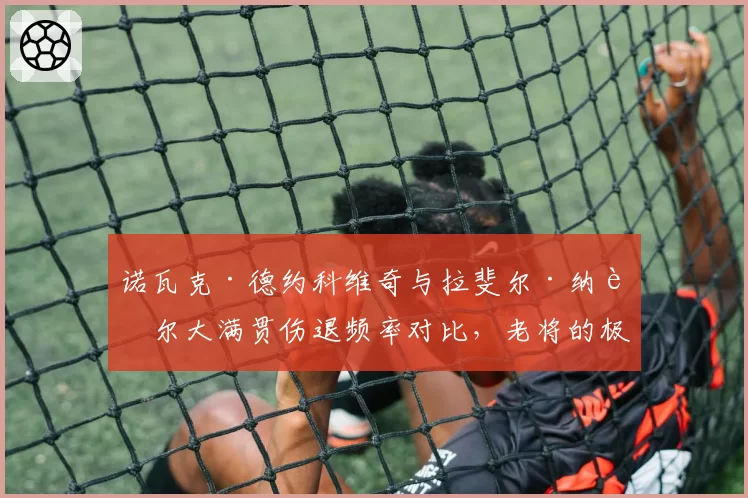 诺瓦克·德约科维奇与拉斐尔·纳达尔大满贯伤退频率对比，老将的极限在哪里？