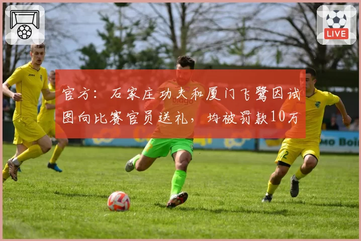 官方:石家庄功夫和厦门飞鹭因试图向比赛官员送礼,均被罚款10万元